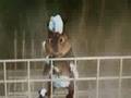 Alvin And The Chipmunks Movie Scene Don T Cha