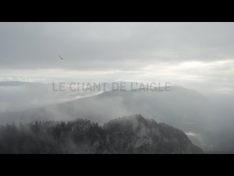 PAUL MAC BONVIN - LE CHANT DE L'AIGLE
