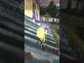 Ratatouille 03