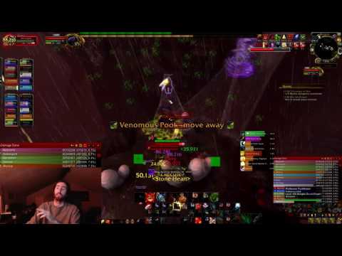 How to do MAXIMUM DPS on Mythic Elerethe Renferal