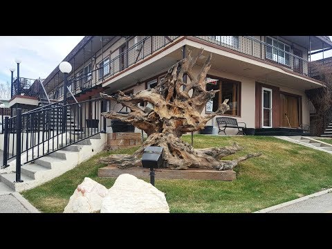 Bristlecone Motel - Ely Hotels, Nevada