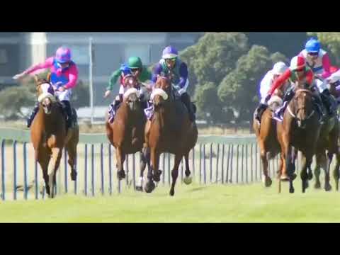 2022.01.29 Majorca Stakes (RSA) - Captain's Ransom
