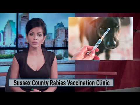 Sussex County Rabies Clinic
