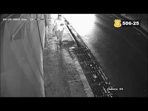 506. Sospechoso de Robo de Vehículo en Desamparados, San José.