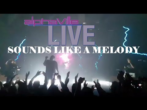 SOUNDS LIKE A MELODY 2021 ALPHAVILLE 4K LIVE IN TEL AVIV