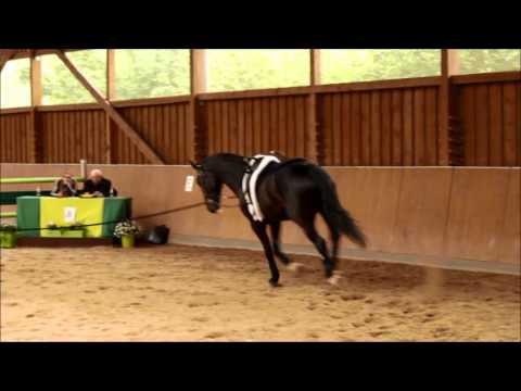 Turnier Molzbach Einzel Luisa