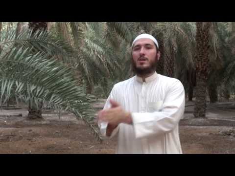 Njihu me Ensarët || 3-Ubejj ibn K'ab || Ali Ashani