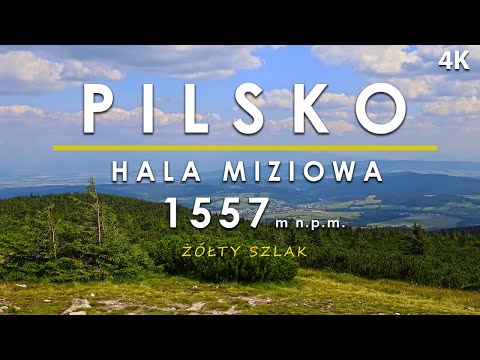 Pilsko, Hala Miziowa z Korbielowa, żółty szlak, Beskid Żywiecki, Góry Polskie