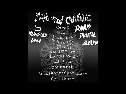 Disakortex - La Rave