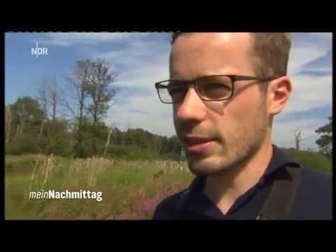 NDR meinNachmittag - Antikhof Wokuhl 2016 - original