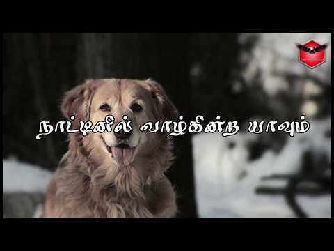 download lagu mp3 mp4 Ennil Adanga Lyrics, download lagu Ennil Adanga Lyrics gratis, unduh video klip Download Ennil Adanga Lyrics Mp3 dan Mp4 Full Gratis