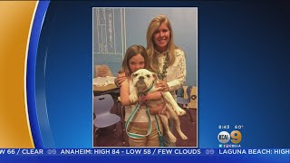 KCAL 9 News Saturday