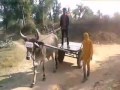 Char Char Bangli Vali Gadi