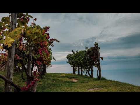 #comehome da Levanto a Monterosso