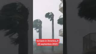 Download lagu angin ribut mp3 Download lagu angin ribut mp3