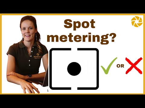 Should you use Spot Metering for Wildlife Photography?
