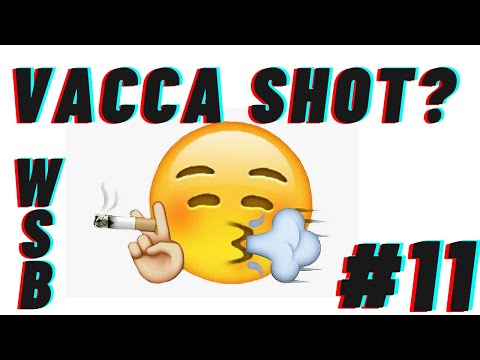 Wait!!! Smoke Break #11- VACCA Shot ?