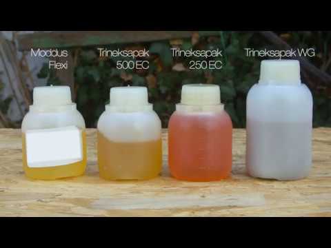 Moddus Flexi – rozpuszczalność vs inne regulatory zbóż