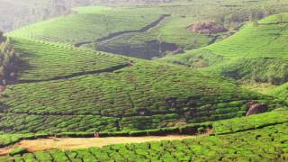 Alle Farben ft. Lahos &quot;Far Green&quot;