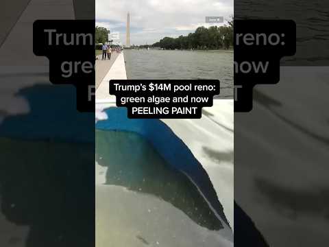 Trump's $14M pool reno: green algae and now PEELING PAINT