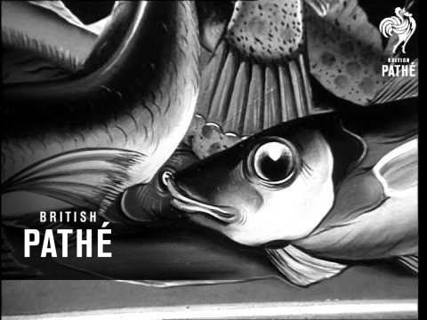 Exhibition Of Surrealistic Paintings (1964)