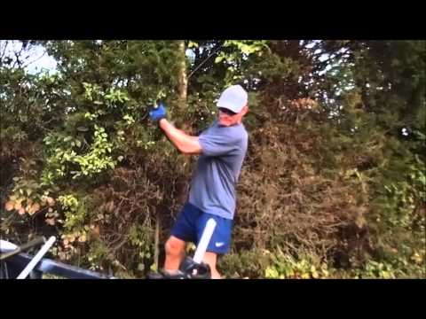 Ronin Katana Dojo Pro Samurai Sword Cutting & Destruction Test #6