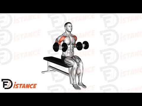 Drag curl assis avec haltères - Exercice Drag curl assis avec haltères en vidéo