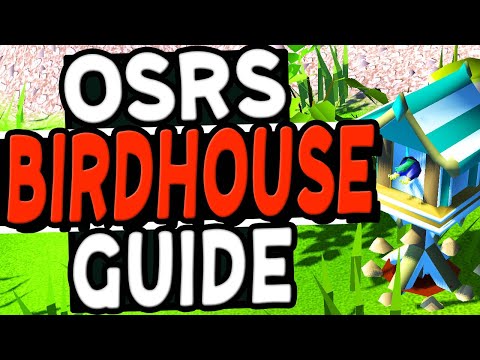 The Ultimate Birdhouse Guide Old School Runescape