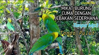 Download lagu Pikat Burung Cucak Ranting || Tanpa Getah Pulut Dan Mp3 mp3 Download lagu Pikat Burung Cucak Ranting || Tanpa Getah Pulut Dan Mp3 mp3
