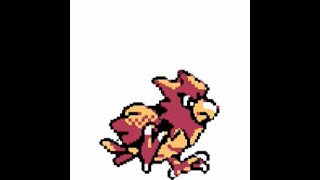 【part019】続・はじめてのポケモン（ポケットモンスター金実況プレイ）
