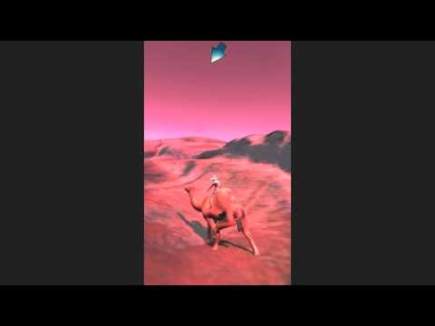 Crossing the desert by Camel Video