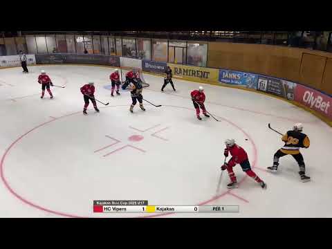 HC Vipers - HC Kajakas