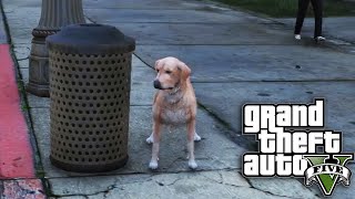 GTA 5 SP #19 - Life of.. An Animal