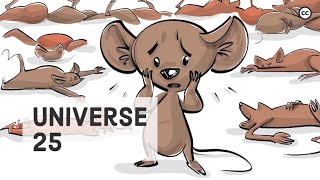 The Universe 25 Mouse Experiment
