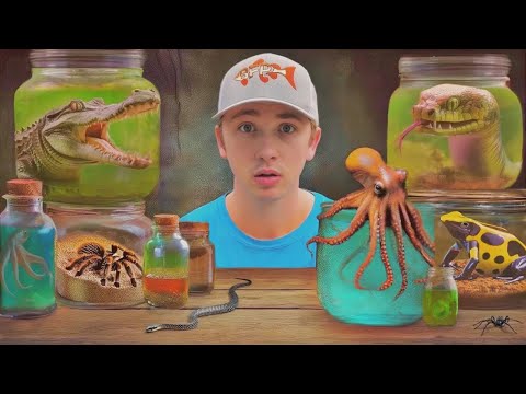 Encontrei os Animais Mais Perigosos da Deep Web!