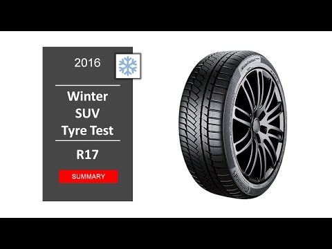 TOP 10 Best SUV winter tyres R17 2016