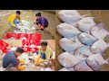 Paplet Fish Fish Market Indian Fishing Boat Deep Sea In Gujarat