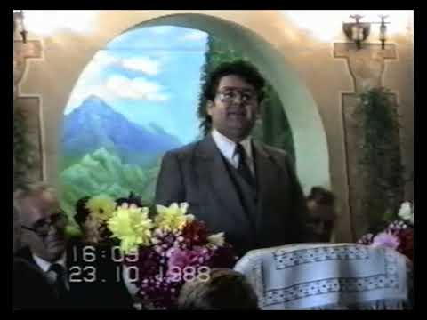 🌻1988 Petru Dugulescu - ASTEPT (poezie cu explicatii de autor)