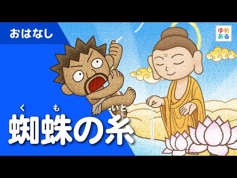 解読されたクモの糸の設計図