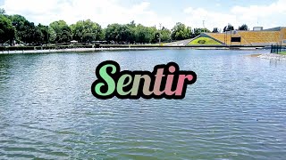 Sentir - Beret ( sentido musical )