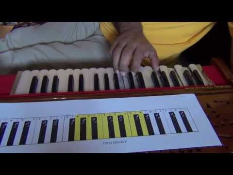 202 Harmonium Lessons for Beginners