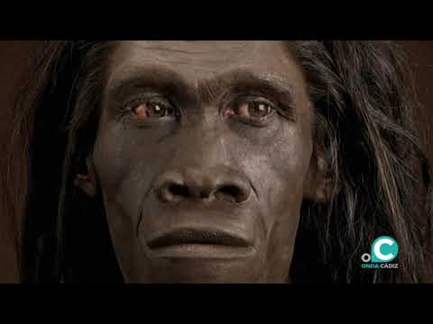 El enigma arqueológico de la gran torre que presidía las costas de Cádiz hace 2.000 años: un estudio concluye que estaba dedicada al rey númida Juba I