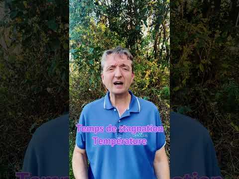 Vidéo YouTube 17
