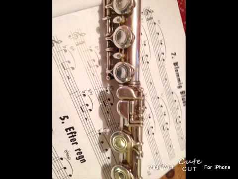 Hur man sätter på en tvärflöjt utan problem