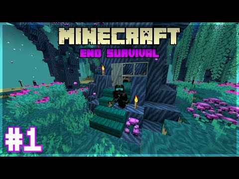 Welcome to The End! | Minecraft End Survival - E01