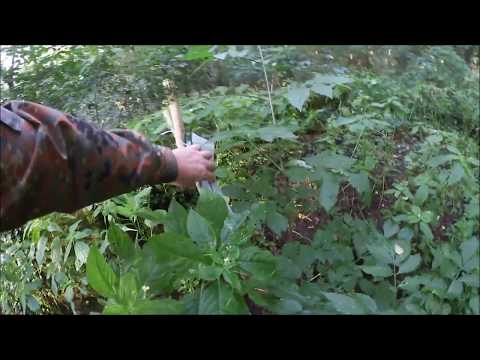 Die Gruft im Wald - Erkundungstour