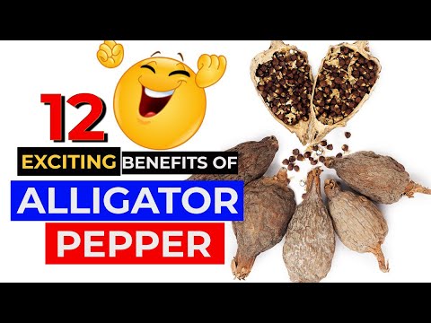 , title : '12 EXCITING BENEFITS OF ALLIGATOR PEPPER YOU NEVER KNEW'