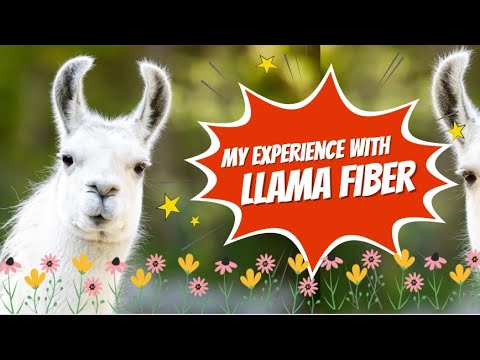Scouring, preppins and spinning Llama - Camaj Fiber Arts
