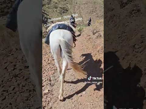 Rumbo a la escuela de Ovejería de Cardones, Dpto  San Carlos   Prov  de Salta, zona de precordillera