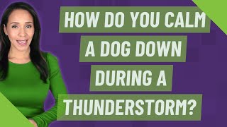 How do you calm a dog down during a thunderstorm?